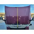 FREIGHTLINER CASCADIA 125 HOOD thumbnail 4
