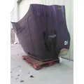 FREIGHTLINER CASCADIA 125 HOOD thumbnail 12