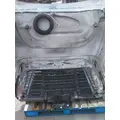FREIGHTLINER CASCADIA 125 HOOD thumbnail 15