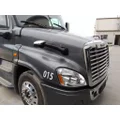FREIGHTLINER CASCADIA 125 HOOD thumbnail 2