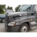 FREIGHTLINER CASCADIA 125 HOOD thumbnail 3