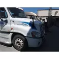 FREIGHTLINER CASCADIA 125 HOOD thumbnail 2