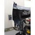 FREIGHTLINER CASCADIA 125 HOOD thumbnail 5