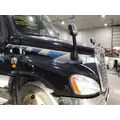FREIGHTLINER CASCADIA 125 HOOD thumbnail 2