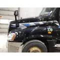 FREIGHTLINER CASCADIA 125 HOOD thumbnail 3