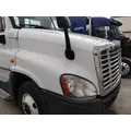 FREIGHTLINER CASCADIA 125 HOOD thumbnail 10