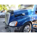 FREIGHTLINER CASCADIA 125 HOOD thumbnail 7