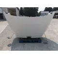 FREIGHTLINER CASCADIA 125 HOOD thumbnail 2