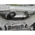 FREIGHTLINER CASCADIA 125 HOOD thumbnail 12