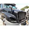 FREIGHTLINER CASCADIA 125 HOOD thumbnail 4