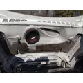 FREIGHTLINER CASCADIA 125 HOOD thumbnail 13