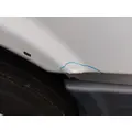 FREIGHTLINER CASCADIA 125 HOOD thumbnail 5