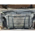 FREIGHTLINER CASCADIA 125 HOOD thumbnail 12