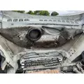 FREIGHTLINER CASCADIA 125 HOOD thumbnail 10