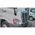 FREIGHTLINER CASCADIA 125 HOOD thumbnail 2