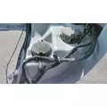 FREIGHTLINER CASCADIA 125 HOOD thumbnail 7