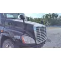 FREIGHTLINER CASCADIA 125 HOOD thumbnail 3