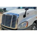 FREIGHTLINER CASCADIA 125 HOOD thumbnail 1