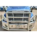 FREIGHTLINER CASCADIA 125 Hood  thumbnail 5