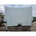 FREIGHTLINER CASCADIA 125 Hood  thumbnail 6