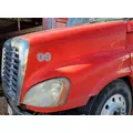 FREIGHTLINER CASCADIA 125 Hood  thumbnail 1