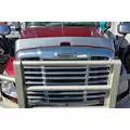 FREIGHTLINER CASCADIA 125 Hood  thumbnail 2