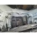 FREIGHTLINER CASCADIA 125 Hood thumbnail 2