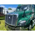 FREIGHTLINER CASCADIA 125 Hood thumbnail 3