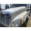 FREIGHTLINER CASCADIA 125 Hood thumbnail 4