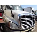 FREIGHTLINER CASCADIA 125 Hood thumbnail 3