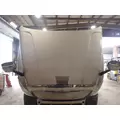 FREIGHTLINER CASCADIA 125 Hood thumbnail 5