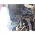 FREIGHTLINER CASCADIA 125 Hood thumbnail 2