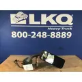 FREIGHTLINER CASCADIA 125 MIRROR ASSEMBLY CABDOOR thumbnail 3