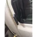 FREIGHTLINER CASCADIA 125 MIRROR LOOK DOWN thumbnail 1