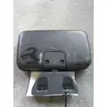 FREIGHTLINER CASCADIA 125 MIRROR LOOK DOWN thumbnail 2