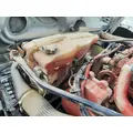 FREIGHTLINER CASCADIA 125 RADIATOR OVERFLOW TANK thumbnail 1