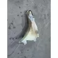 FREIGHTLINER CASCADIA 125 RADIATOR OVERFLOW TANK thumbnail 2