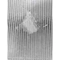 FREIGHTLINER CASCADIA 125 Radiator thumbnail 1
