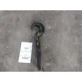 FREIGHTLINER CASCADIA 125 TOW HOOK thumbnail 1