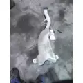 FREIGHTLINER CASCADIA 125 WINDSHIELD WASHER RESERVOIR thumbnail 1