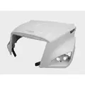 FREIGHTLINER CASCADIA 126 2017-2025 HOOD thumbnail 2