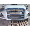 FREIGHTLINER CASCADIA 126 2017-2025 HOOD thumbnail 11