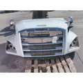 FREIGHTLINER CASCADIA 126 2017-2025 HOOD thumbnail 12