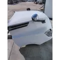 FREIGHTLINER CASCADIA 126 2017-2025 HOOD thumbnail 14