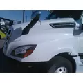 FREIGHTLINER CASCADIA 126 2017-2025 HOOD thumbnail 9