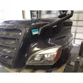 FREIGHTLINER CASCADIA 126 2017-2025 HOOD thumbnail 3