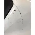 FREIGHTLINER CASCADIA 126 2017-2025 HOOD thumbnail 1