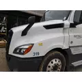 FREIGHTLINER CASCADIA 126 2017-2025 HOOD thumbnail 4