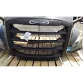 FREIGHTLINER CASCADIA 126 2017-2025 HOOD thumbnail 14