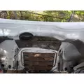 FREIGHTLINER CASCADIA 126 2017-2025 HOOD thumbnail 4